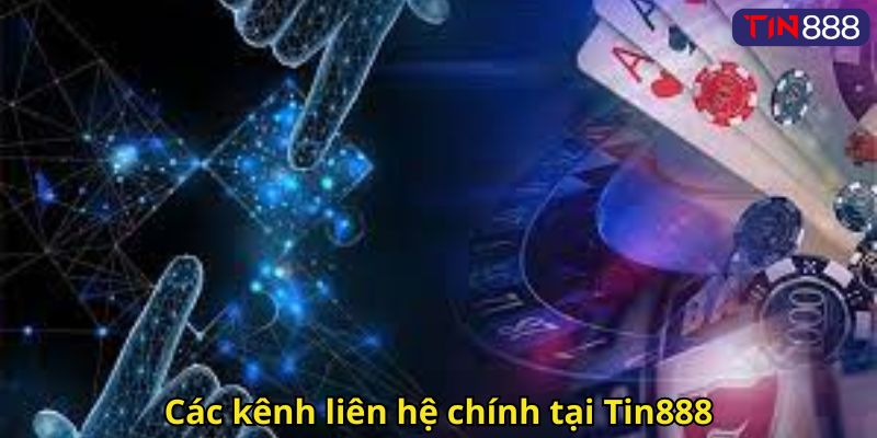 Các kênh liên hệ chính tại Tin888
